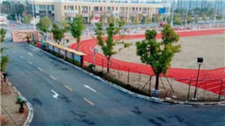 特朗普下令禁止12国人员入境 暂停向哈佛大学外国学生发放签证