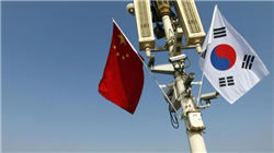 苹果否认与 OpenAI 合作损害马斯克旗下xAI