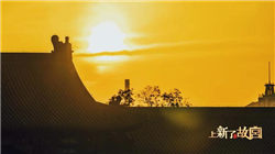 中创智领股价创新高