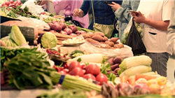 中金：维持第四范式跑赢行业评级 上调目标价至60港元