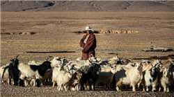 台外事部门负责人声称中日争端可能会持续一年之久，外交部回应