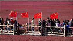 最新！31只主升浪“慢牛”股名单曝光，葛卫东，出手！