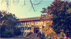 财务造假！300128，罚！