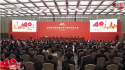 博时基金张磊：解析债券ETF规模增长两大因素