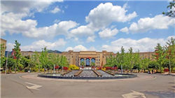 冯柳、董承非、林鹏现身……