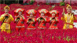 香港政府就实施加密资产申报框架和新修订共同汇报标准展开公众咨询