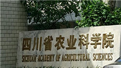 【双焦周报】情绪主导延续，警惕回调风险