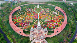 海南自贸区板块盘初走强，罗牛山直线涨停