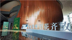 毅高国际控股(08218.HK)复牌