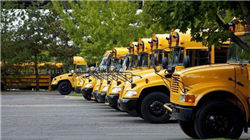 港股创新药板块的“狂欢与崩塌”：谁在收割？谁在接盘？