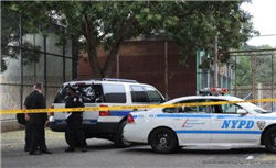 一汽红旗李丹：中国汽车行业差不多全世界最卷，卷到无路可走