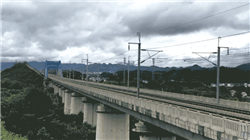 因"技术原因"偿报延期！瑞华健康亮“健康红灯” 总经理已精准离场