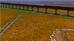 化工板块午后井喷，两股涨停！化工ETF（516020）盘中涨超3%，机构：化工景气周期或超预期