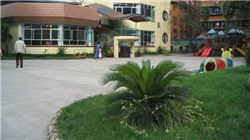 【建投专题】怎么看待美国的农产品生产成本跌破 2.0