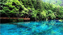 每日复盘｜市场再创阶段“地量”，沪指止步八连阳