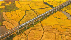 【打新】纳百川、优迅股份12月8日申购攻略