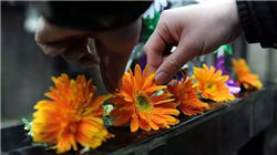 评价规则迎修后交易商协会首次公布！江西银行、吉林银行、东莞农商行3家银行被评为D档