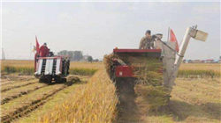 3000亿美元蒸发！币圈本周遭重创，以太坊领跌