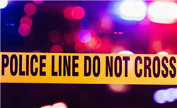 特斯拉餐厅开业72天卖出5万个汉堡