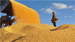 11月26日磷酸一铵3690.00元/吨 30天上涨10.15%