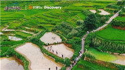 29°五粮液开启预售，售价399元/瓶，邓紫棋为产品全球代言人