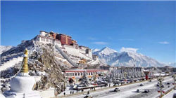 江苏东新酒业有限公司因产品标签不合格被罚5000元