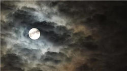 AI正式进军影视制作！争议声中奈飞率先试水Runway AI视频工具