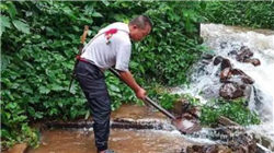 市监总局答澎湃：已建成经营者集中反垄断监管全链条业务系统