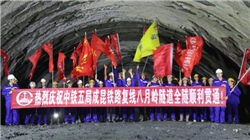 特斯拉解散Dojo团队：终止自研芯片计划，转投英伟达与三星