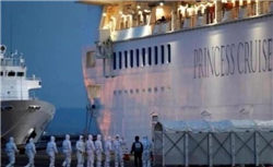 Blue Whale基金清空Meta和微软持股