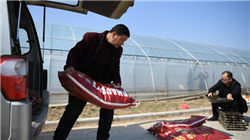 豆包手机助手触发微信账号强制下线？豆包、微信双方回应