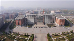 日本政府顾问委员会成员：高市政府将更积极地干预外汇市场