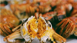 债券巨头警告：美国信用债市场评级“虚高”，存在“危险的假设”