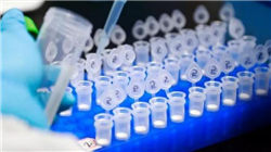 银行板块7连涨：四大行站上历史新高 降准降息预期升温