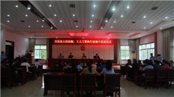 铜缆高速连接概念震荡走强，新亚电子涨停