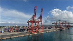 芝商所宣布：暂停交易！